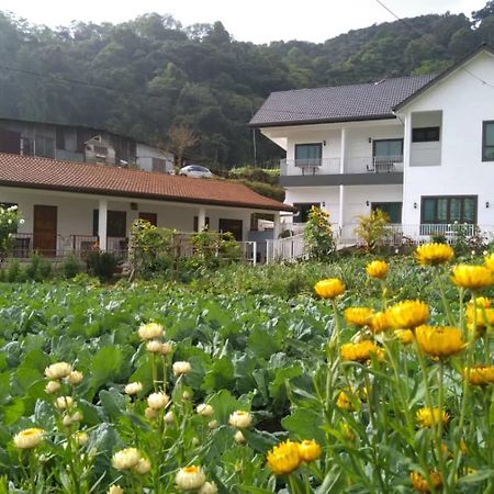 Ng Family'S Farm Stay Cameron Highlands Exteriör bild