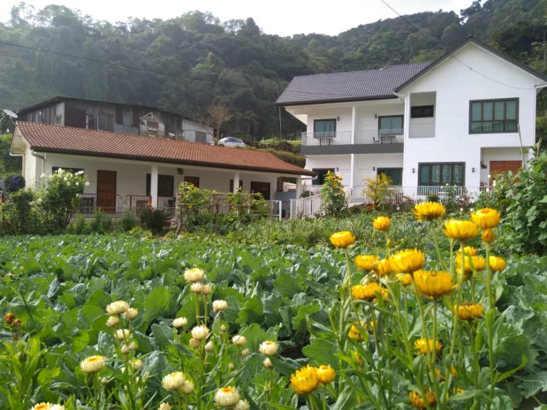 Ng Family'S Farm Stay Cameron Highlands Exteriör bild