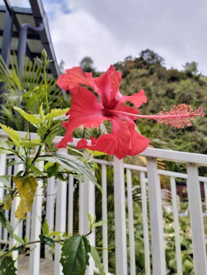 Ng Family'S Farm Stay Cameron Highlands Exteriör bild